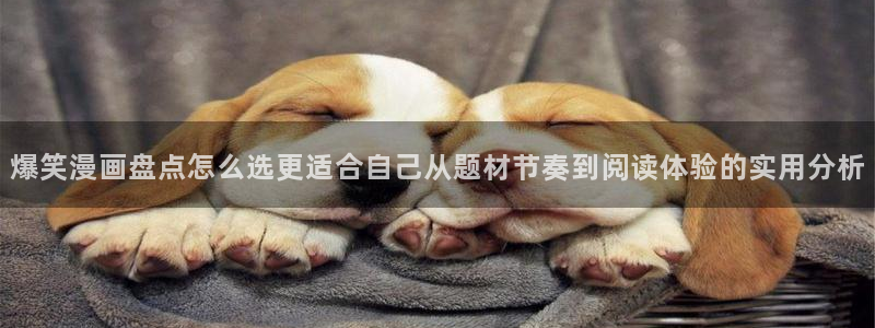 国漫:爆笑漫画盘点怎么选更适合自己从题材节奏到阅读体验的实用分析